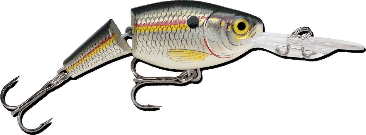 Image of Jointed Shad Rap Hard Bait