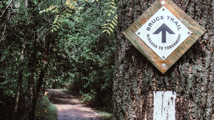 Bruce Trail Experience