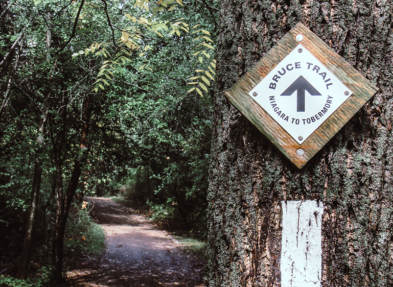 Bruce Trail Experience