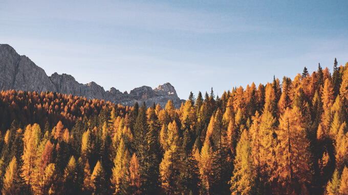 Paysage d'automne au Québec