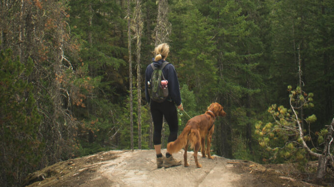 Randonnée avec chien