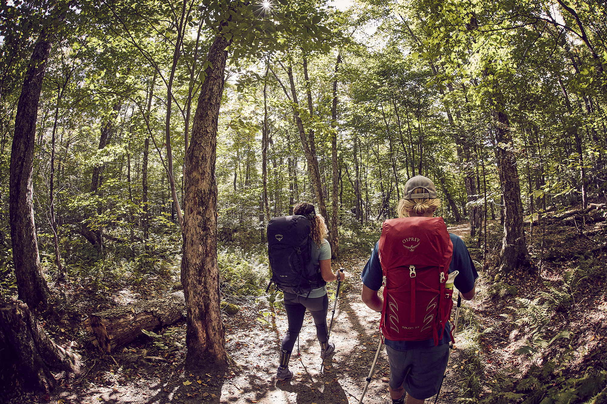 Top 5 Hikes in Quebec to do at Least Once in Your Life