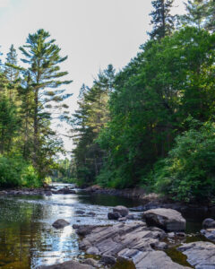 parcs nationaux de l’Ontario