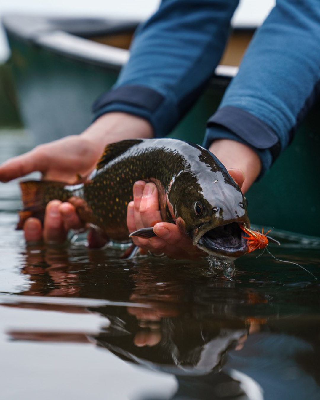 Trout Fly Fishing : Basic Tips to Get Prepared