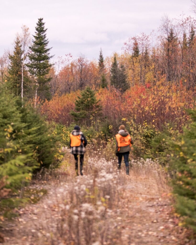 Small game hunting in Des Laurentides Wildlife Reserve