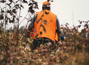 Man hunting during fall