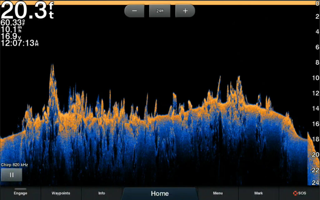 Down imaging in fishfinders