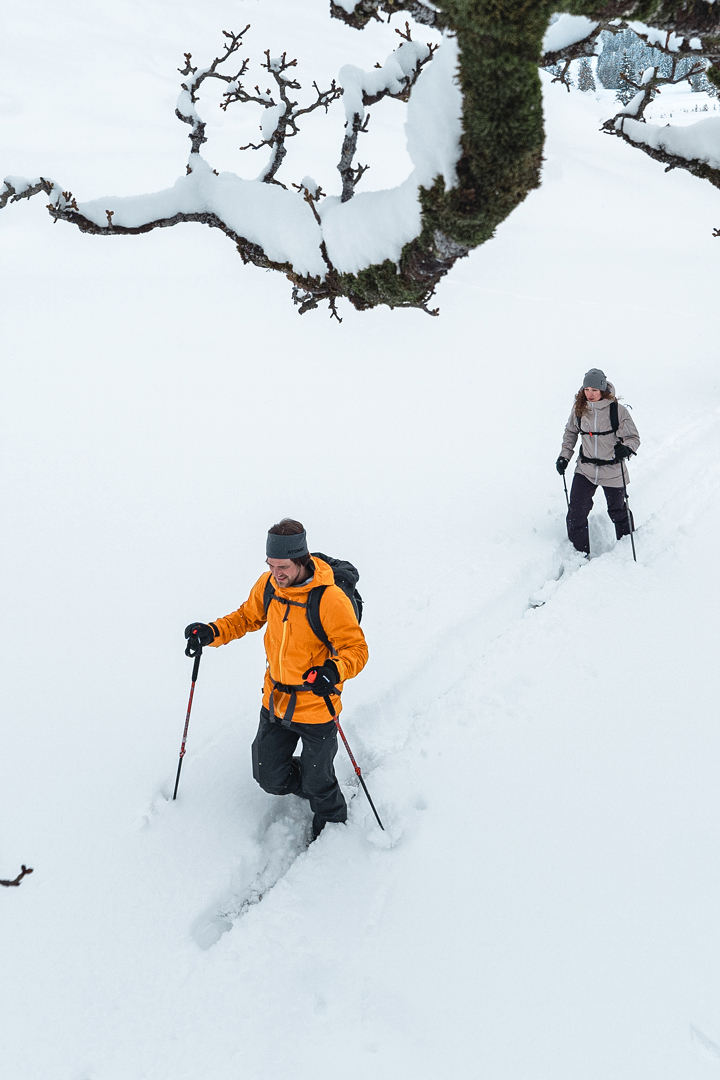 bag ski alpine touring