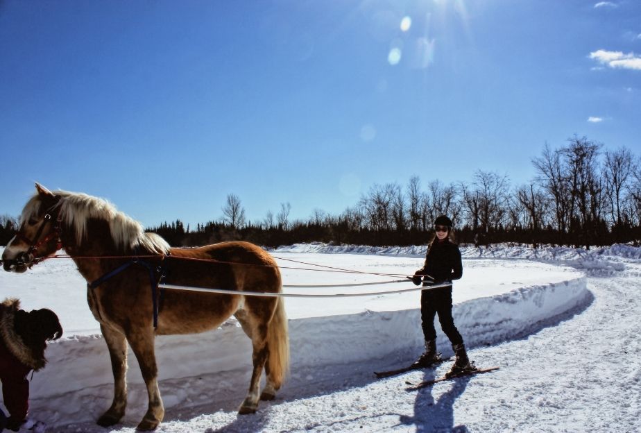 Joëring ski at the Coeur-Corico Equestrian Farm