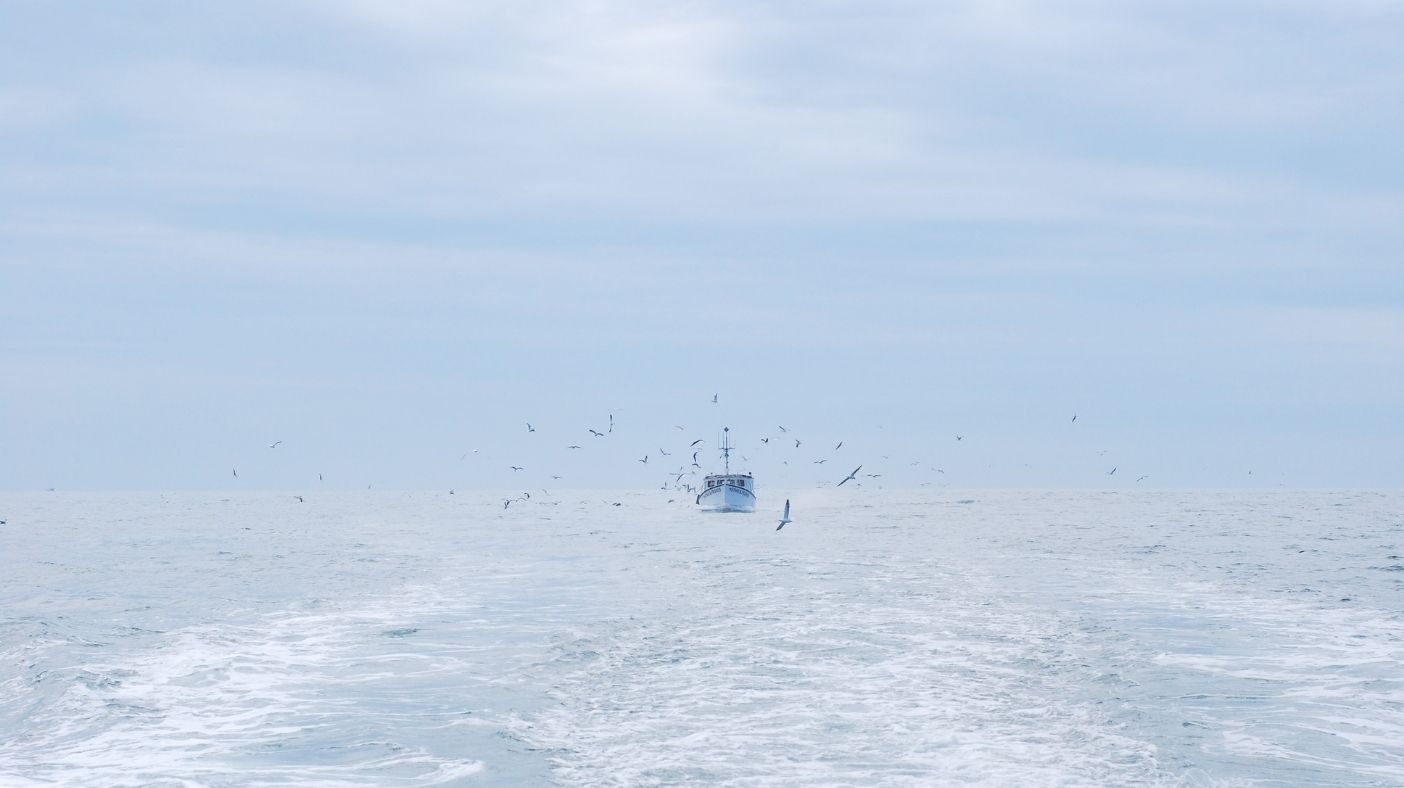 conseils de Cyril Chauquet pour réussir votre pêche en mer