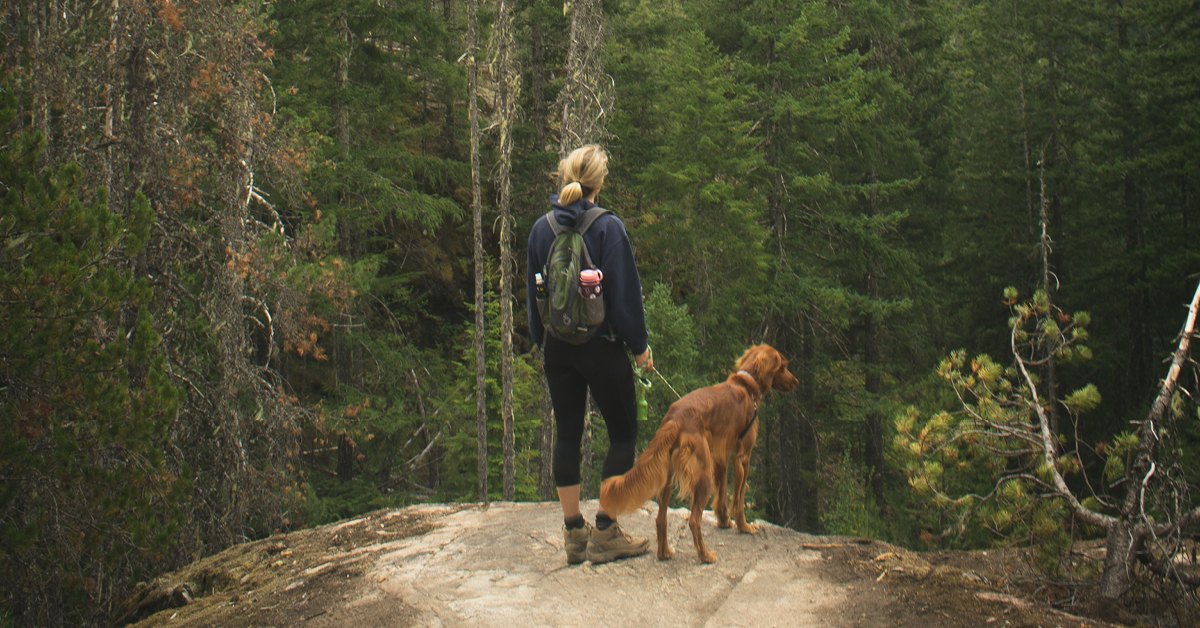 Hike with your dog 