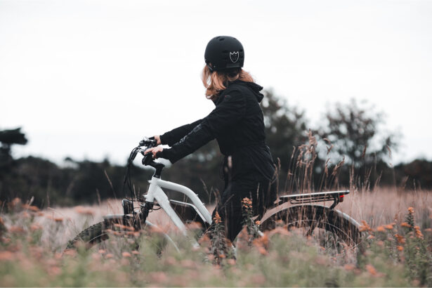 Electrical bikes