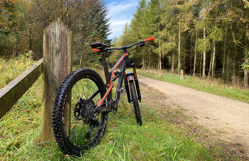 Mountain bike