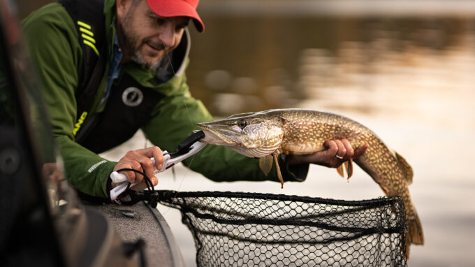 Pike fishing