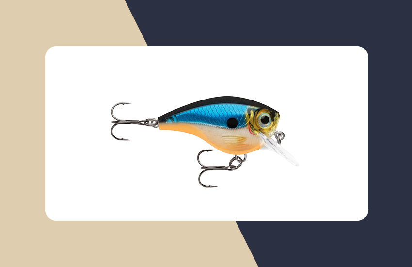 Best Worms and Creature Baits For Bass Fishing - Buyer's Guide 