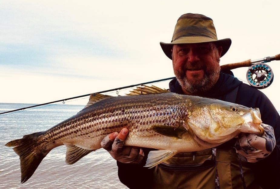 Striped Bass Fishing: Simple Techniques for a Great Catch