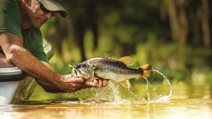 Techniques pêche à l'achigan