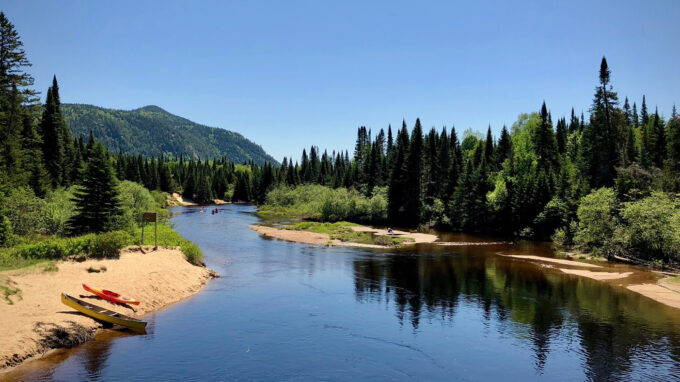 place to kayak surrounded by trees