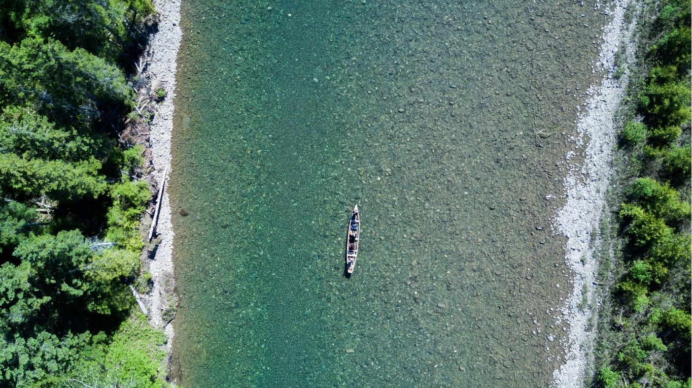 Fishing boat on the water among the trees