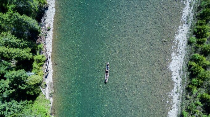 Bateau de pêche sur l'eau au milieu des arbres