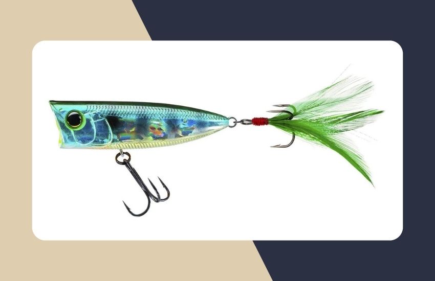 10 Must-Have Fishing Lures