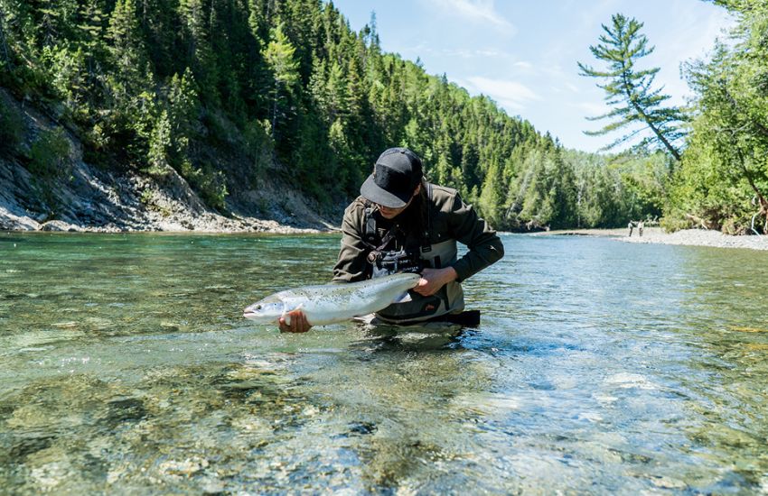 Homme dans l'eau ayant attrapé un saumon