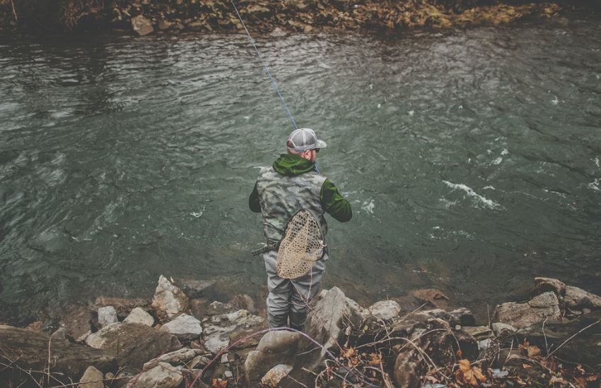 a man fishing a trout with a fly