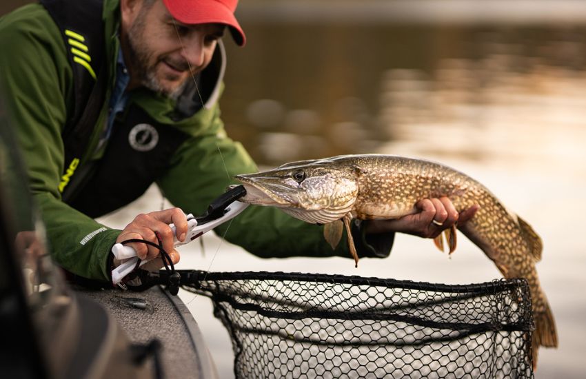 Pêcheur ayant attrapé un brochet