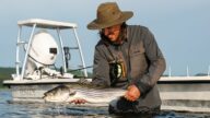 Striped Bass Fishing