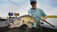 Walleye Fishing