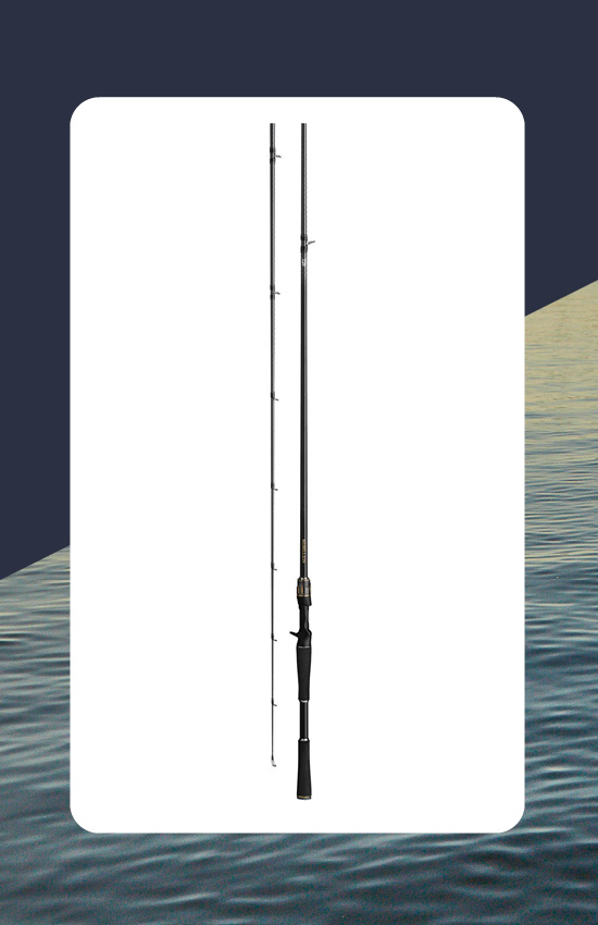 Canne à pêche Daiwa pour la lancer lourd