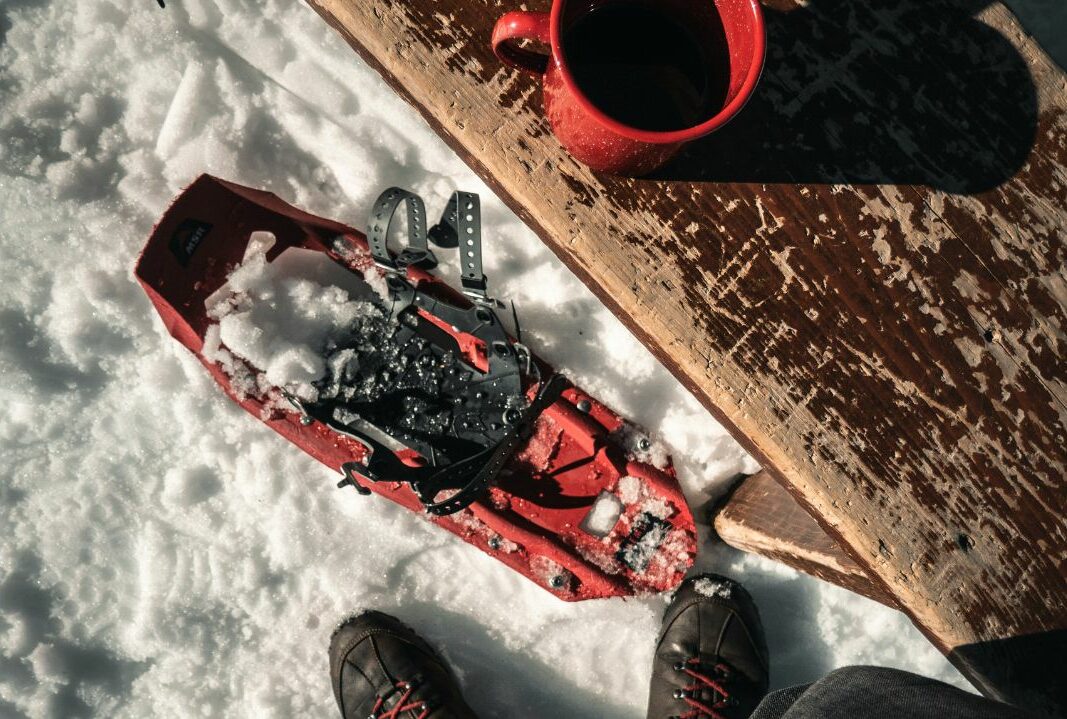 Comment choisir ses raquettes à neige