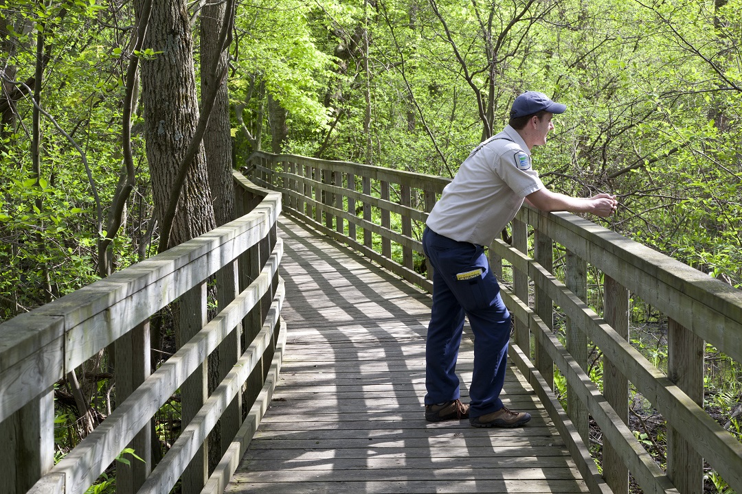 The SAIL team’s favourite 5 outdoor places to visit in Ontario_parc_rondeau