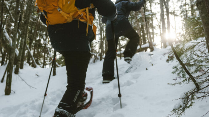 Les 5 étapes de base pour effectuer le fartage de vos skis de fond sans  difficulté