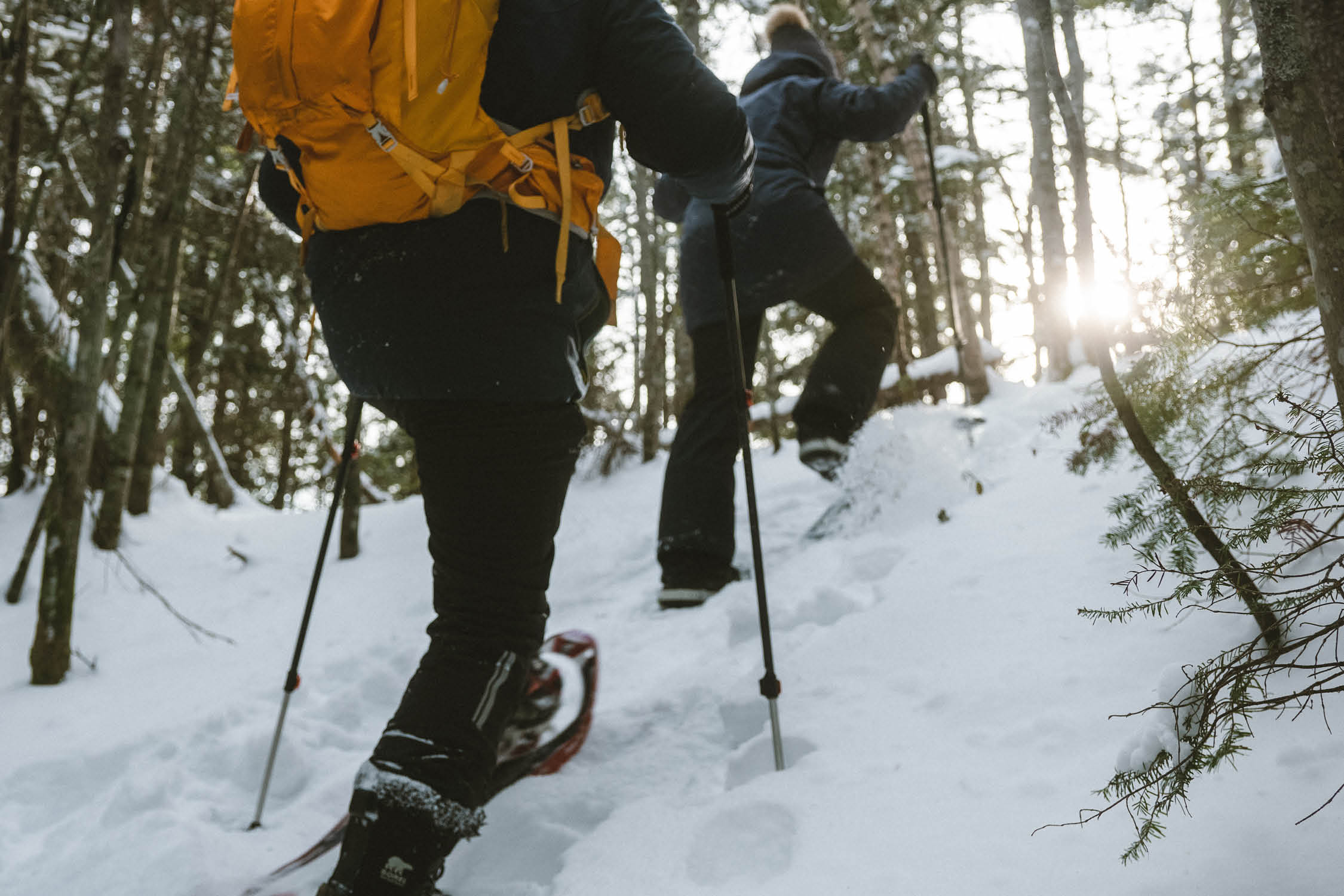 Faire des raquettes à neige