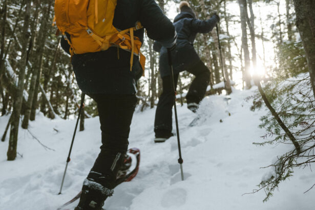 4 activities to do with snowshoes