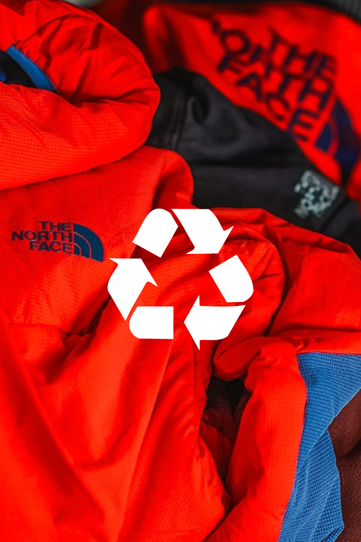 TNF recycling