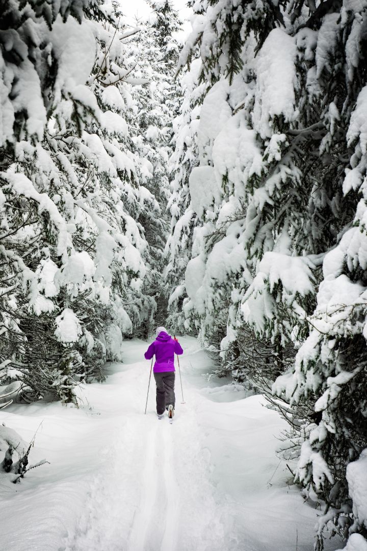 crosscountry skiing