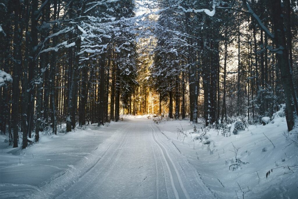 Cross-country Skiing