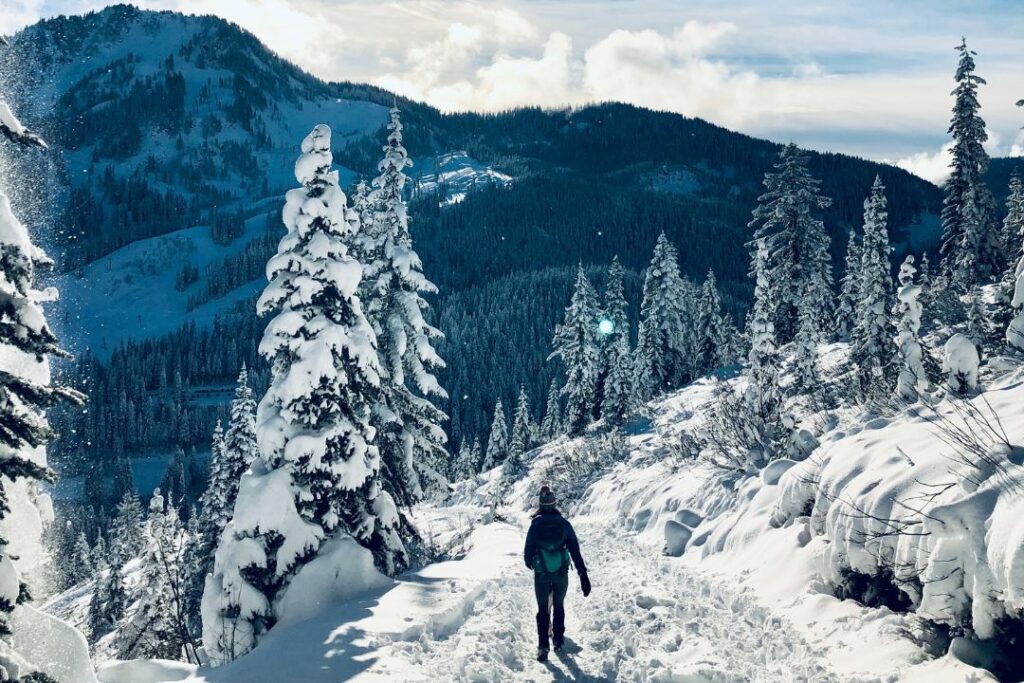 Winter Hiking