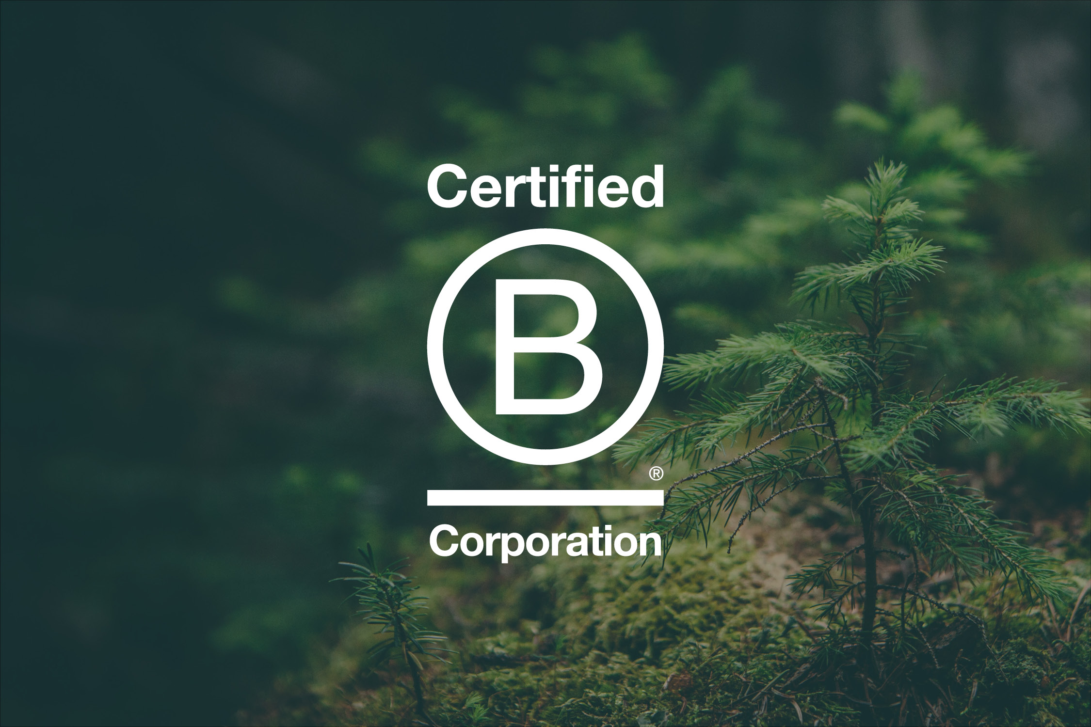 Certification B Corp
