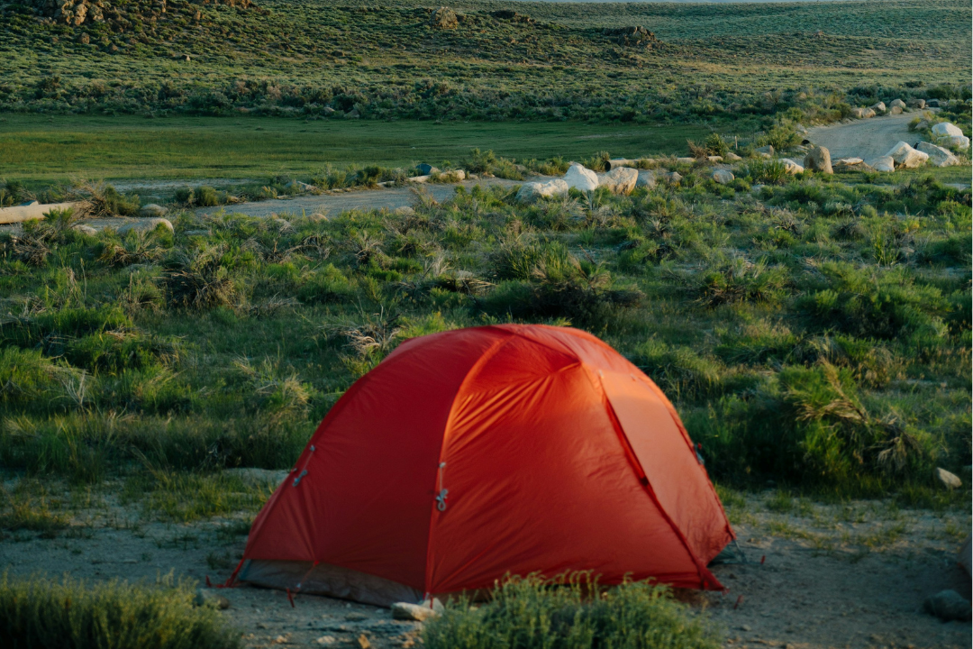 chose a camping tent