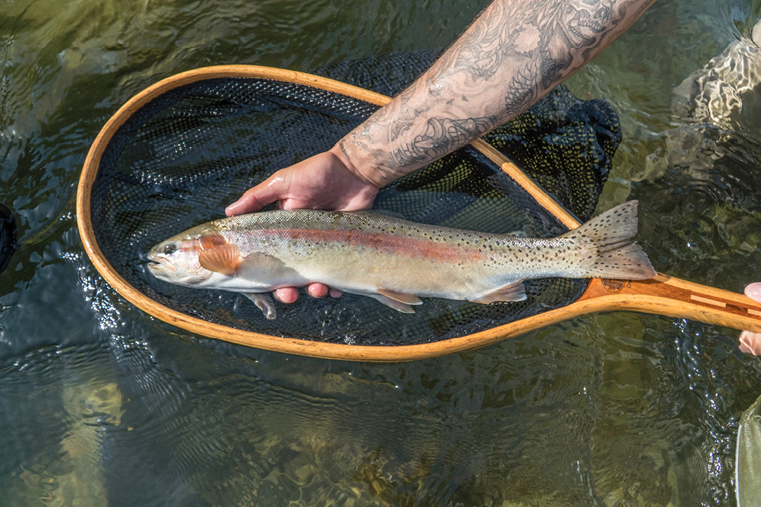 L'équipement optimal pour la pêche à la truite arc-en-ciel