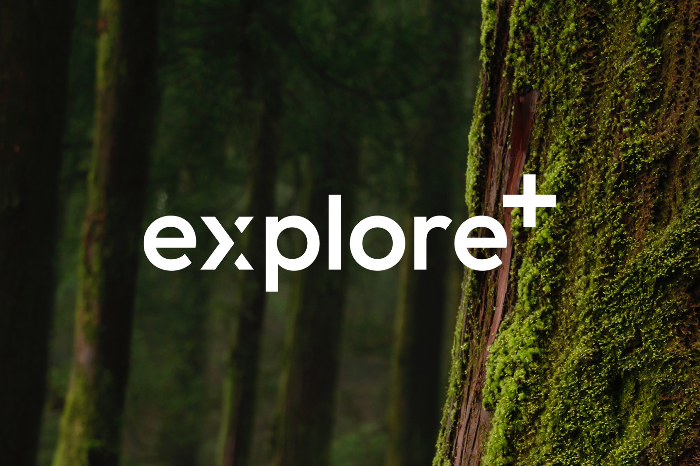 Explore+ Rewards Program