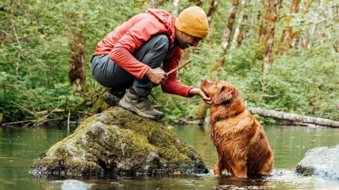 Hiking with dog