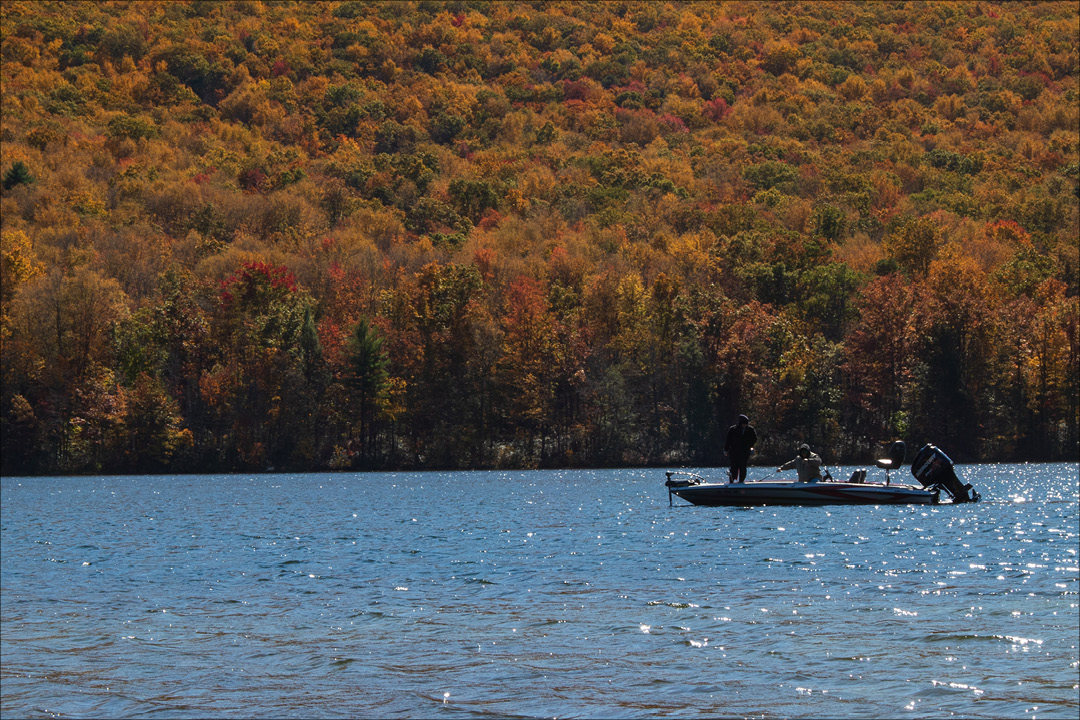 Pêche d'automne