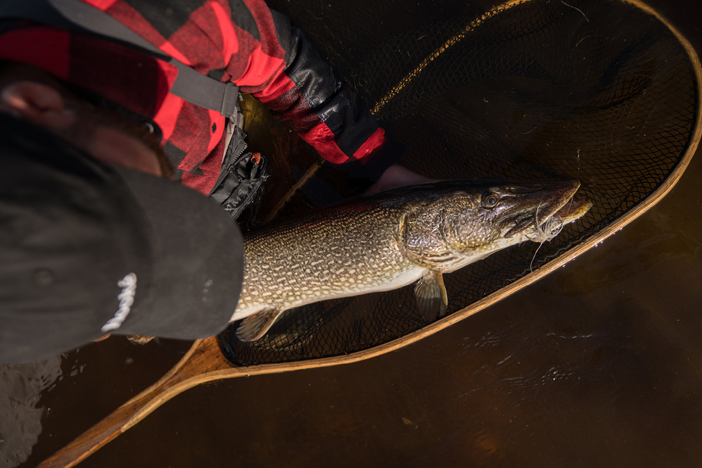 Pike fishing