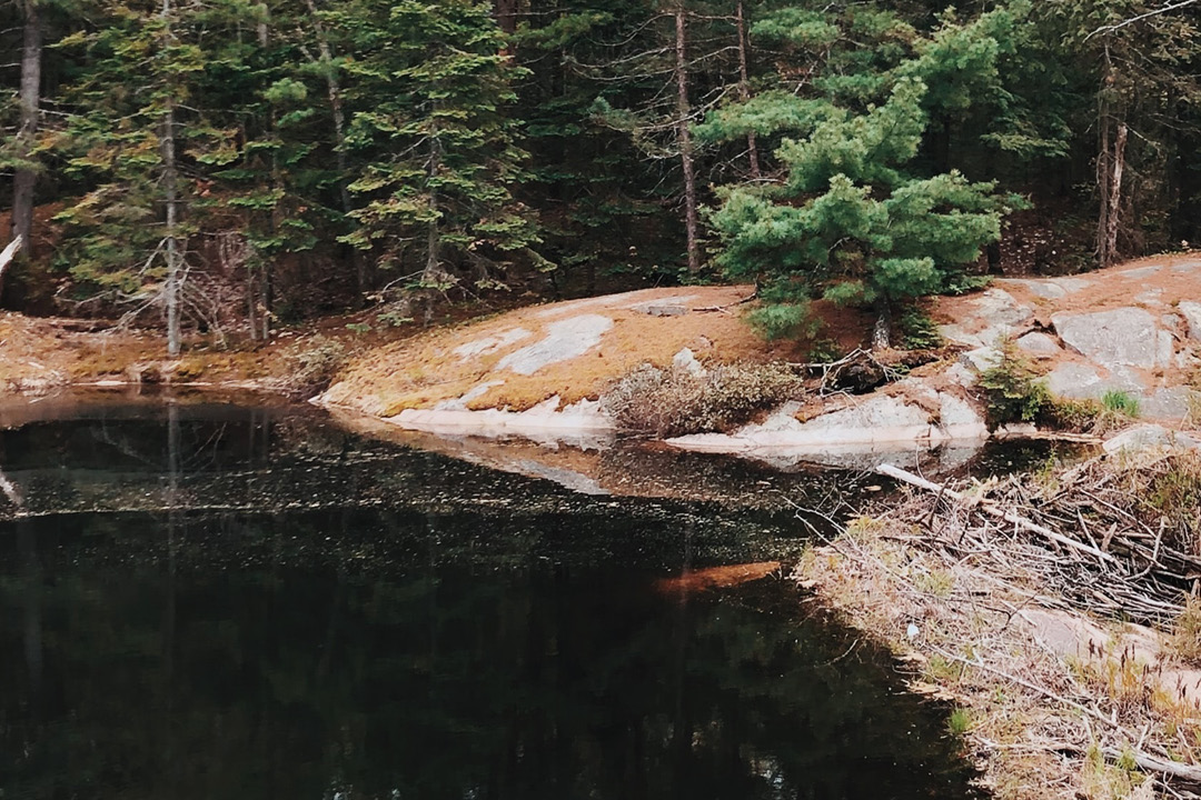 Where to fish largemouth bass