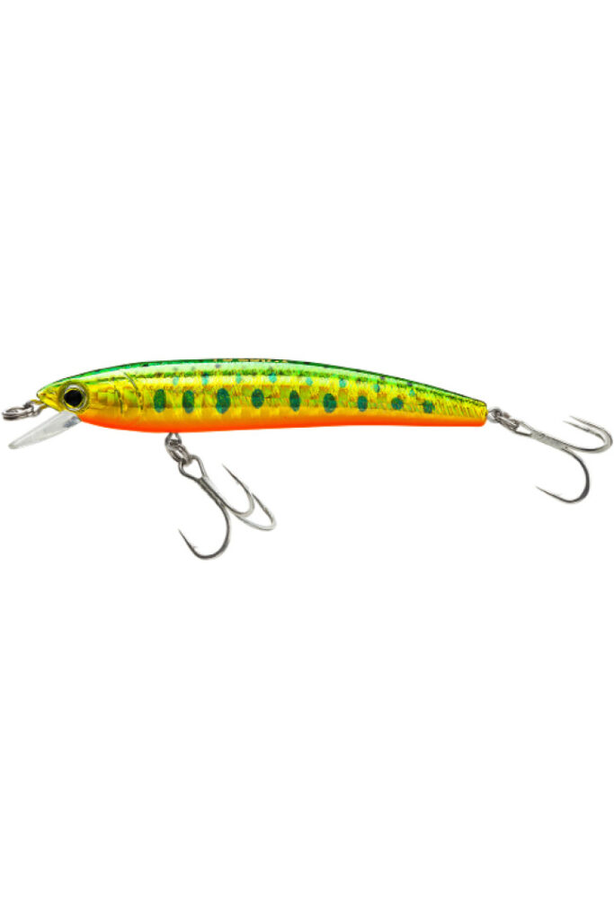 BANDIT LURES Leurre de pêche multi-espèces Minnow Jerkbait - Accessoires de pêche - 8,9 cm - 0,3 g - Tigre de feu (BDTB-SHAD20 BANDIT LURES Leurre de pêche multi-espèces Minnow Jerkbait - Accessoires de pêche - 8,9 cm - 0,3 g - Tigre de feu (BDTB-SHAD20