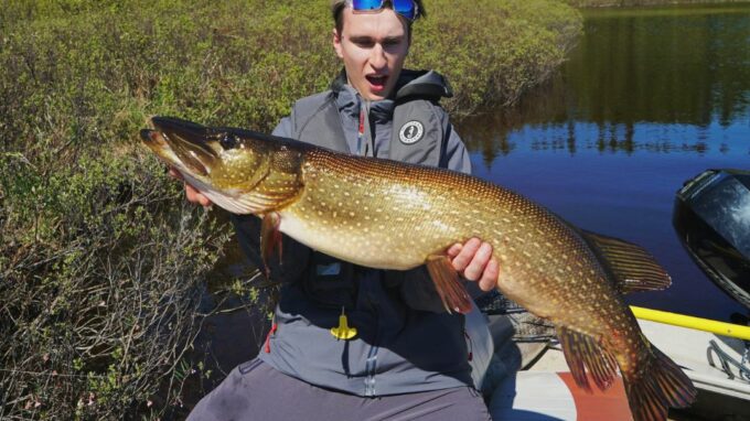 Best lures for Pike Fishing